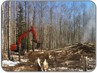 Land Clearing 
