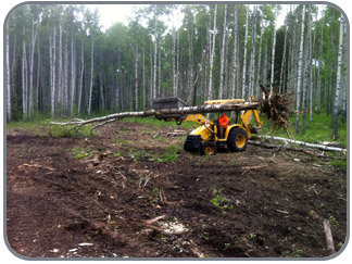 Landscaping -  Land Clearing